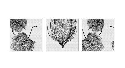 现代装饰画，植物