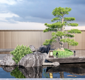 现代假山水景 罗汉松 禅意景观 石头 植物 景观灯