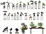 新中式松树盆景盆栽 造型松 黑松