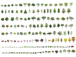 现代景观<em>树</em>、真实<em>树</em>、行道<em>树...树</em>、乔木、<em>树木</em>、植物组团
