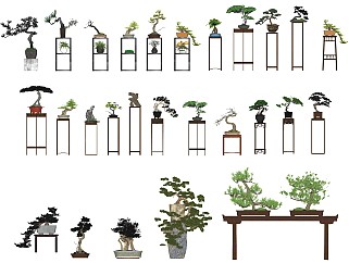 新中式造型松盆景盆栽 造型松 黑松 罗汉松 艺术盆景