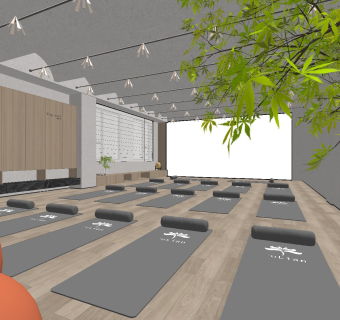 现代健身房 瑜伽室
