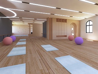 现代<em>健身房</em> 瑜伽室