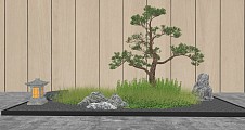 新中式造型松,迎客松,松树,植物罗汉松