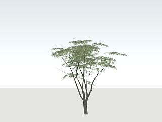三維樹