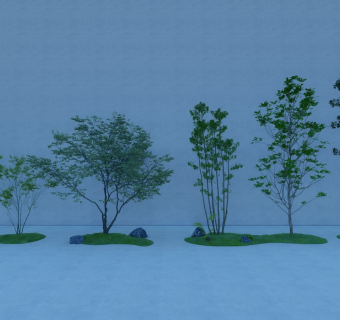 景观树 杂木组合  庭院景观植物 景石石头 微地形绿岛