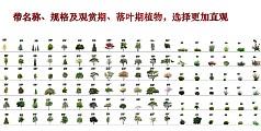 中式彩叶带名称及规格植物，选择更加直观1.0 植物组合 乔木 草花 贴图 模型 灌木 高清