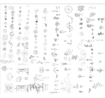 植物平立面CAD