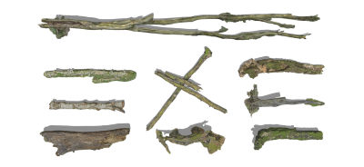 现代树干 枯木 原木 木头