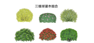 现代灌木球 球灌 灌木植物组合