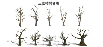 现代三维枯树 树枝 树干