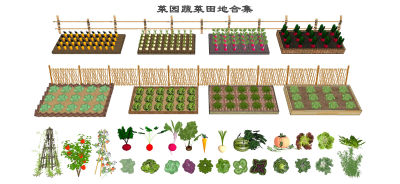 现代菜园 菜地 蔬菜 农场 种植池 种植架