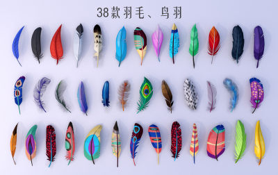 现代羽毛墙饰挂件 装饰品 羽毛 鸟羽