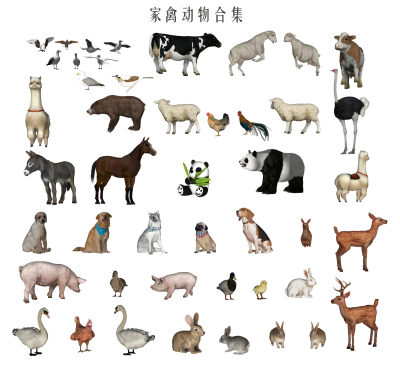 家禽动物 动物组合 鸡鸭鹅狗兔驴 鹿羊驼牛熊猫