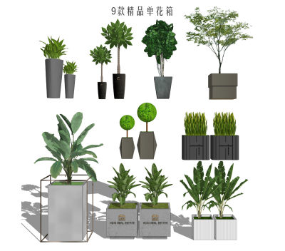 花箱 花草盆栽 观叶大叶植物 植物组合  移动花箱花坛