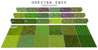 现代草坪铺装 自然草地 苔藓地  绿篱 开花绿篱 大叶黄杨 海桐 女贞 冬青 杜鹃