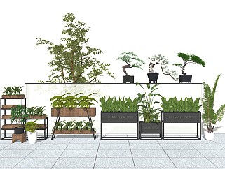 现代绿植花架盆景sketchup模型下载