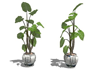 中式风格盆栽 办公室盆景 绿植装饰 花坛花瓶 发财树装饰 植物