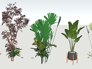 现代室内装饰植物sketchup模型下载