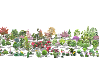 2d真实植物sketchup模型下载