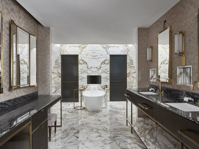 【悬赏模型】现代酒店轻奢卫生间SU模型下载